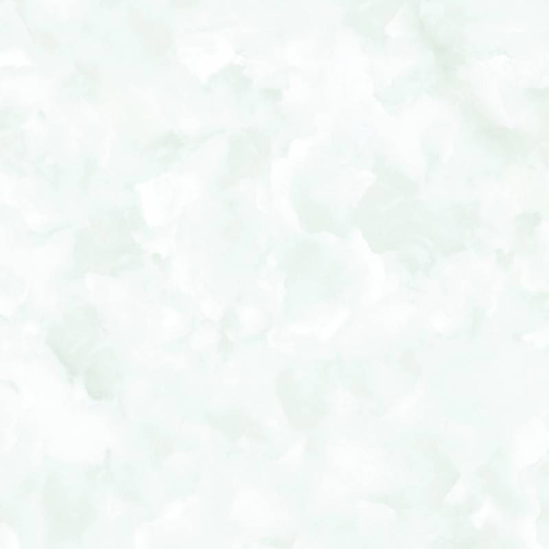 Gạch Prime 800x800 15809
