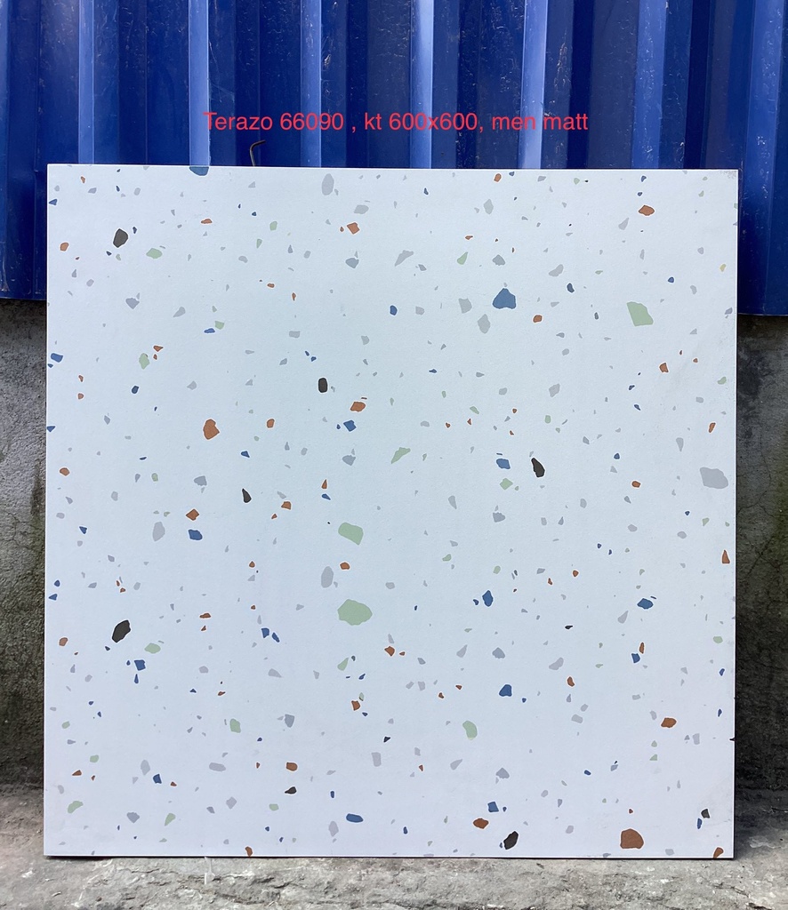 Gạch Terrazzo 600x600mm Men Matt 66090