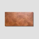 Gạch giả gỗ 600x1200mm mã FP12191