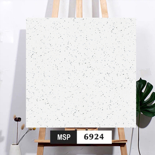 Gạch Terrazzo 600x600mm Men Matt DS66024 (6924)