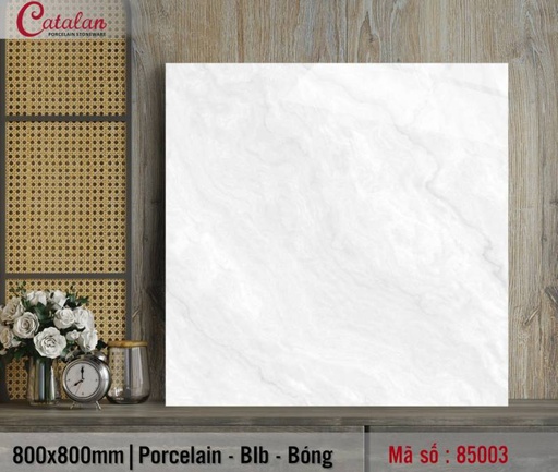 [85003] Gạch lát nền Porcelain Catalan 800x800mm TITAN 85003