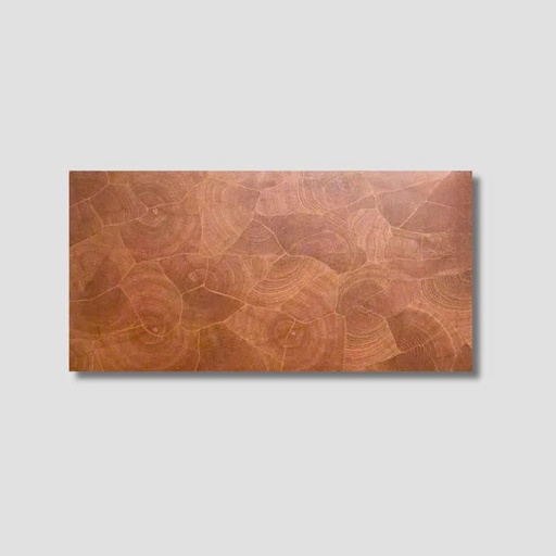 [FP12191] Gạch giả gỗ 600x1200mm mã FP12191