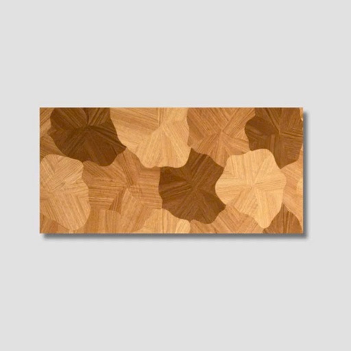 [HHA61235] Gạch giả gỗ cánh sen 600x1200mm mã HHA61235