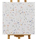 Gạch Terrazzo 600x600mm Men Matt DS66006