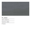 Gạch Viglacera Platinum 300x600mm PL-3642