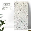 Gạch Terrazzo 600x1200mm Men Matt 12360